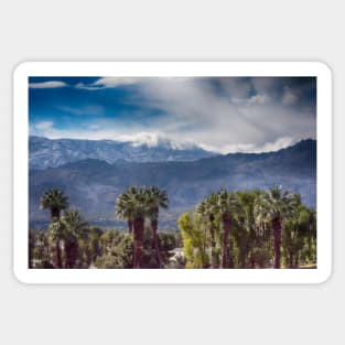 Palm Desert Sticker